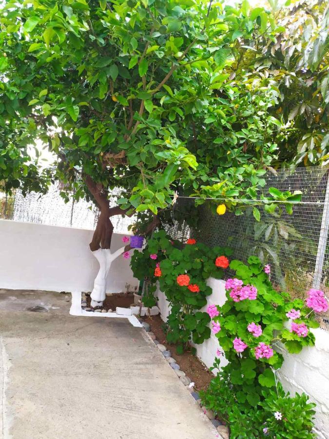 Meimetis Green House Neapoli Voion Exterior photo